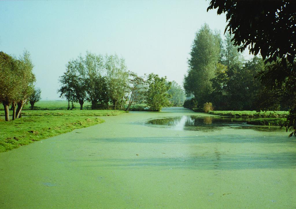 Polsbroekerdam De Boomgaard Groene Hart מראה חיצוני תמונה